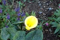 DSC01246.jpg