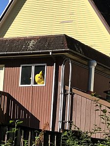 Day3_Ketchikan201795_9_49130A.jpg