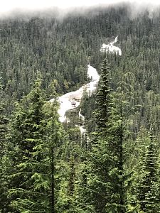 Day5_SkagwayWhitePass201797_9_5500A.jpg