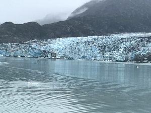 Day6_GlacierBay201798_10_1460A.jpg