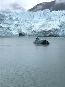 Day6_GlacierBay201798_11_36530A.jpg