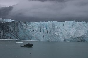 Day6_GlacierBay201798_12_59390A.jpg