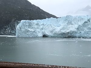 Day6_GlacierBay201798_12_7540A.jpg