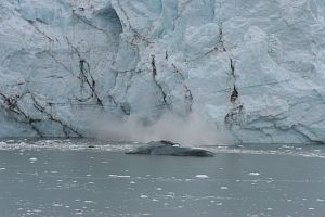 Day6_GlacierBay201798_13_2170A.jpg