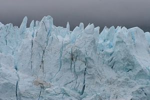 Day6_GlacierBay201798_13_47120A.jpg