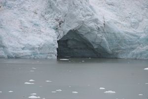 Day6_GlacierBay201798_13_49350A.jpg