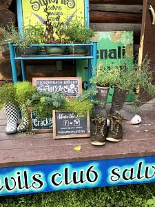 Day9_Talkeetna2017911_16_31350A.jpg