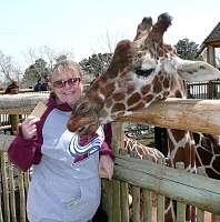 Giraffe_Diane1.jpg