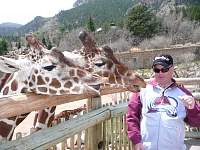 Giraffe_Troy2.jpg