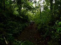 P1000784.jpg