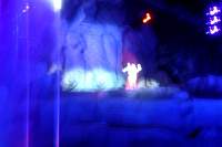 DSC01773.jpg