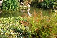 DSC01796.jpg