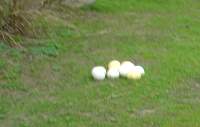 DSC01849.JPG