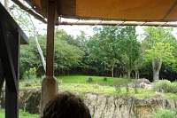 DSC01850.jpg