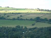P1000548.jpg