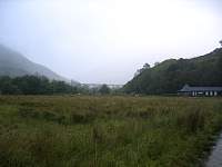 IMG_5740.jpg