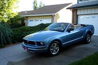Mustang_082205.jpg