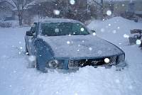 Mustang_snow_400.jpg