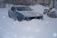 mustang_snow2.jpg